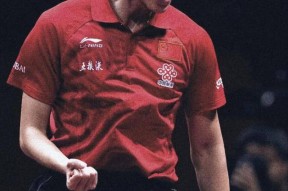 华体会app-中国乒乓球队力克韩国乒乓球队，许昕制霸全场的简单介绍