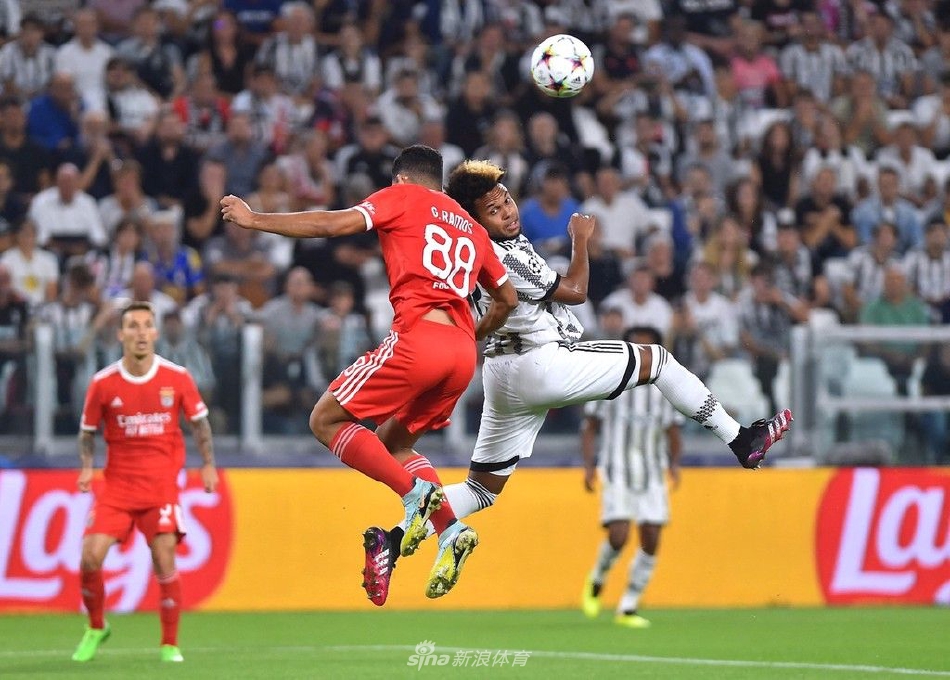 华体会网址-本菲卡战平尤文，托马斯穆勒乌龙送礼英超  第2张